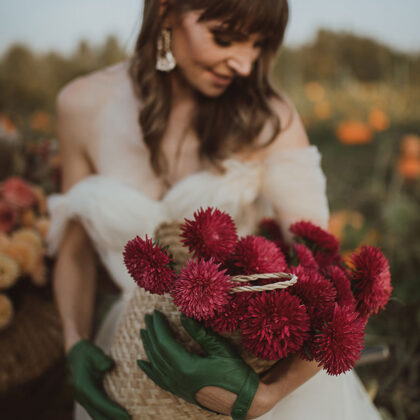 Оформление фотосессии — Amelie Dress
