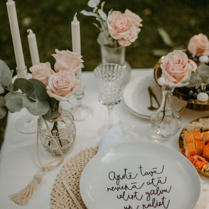 kāzu pietura / Špakovska parks