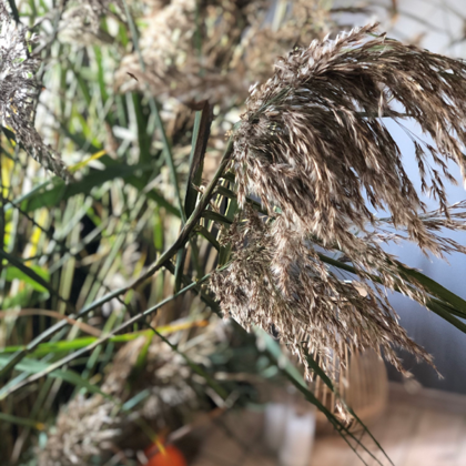 Piknika noformēšana telpās